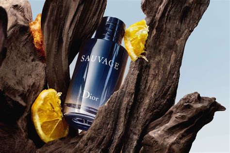 dior sauvage 2021|dior sauvage top notes.